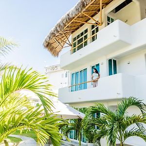 El Sho - Hotel Organico